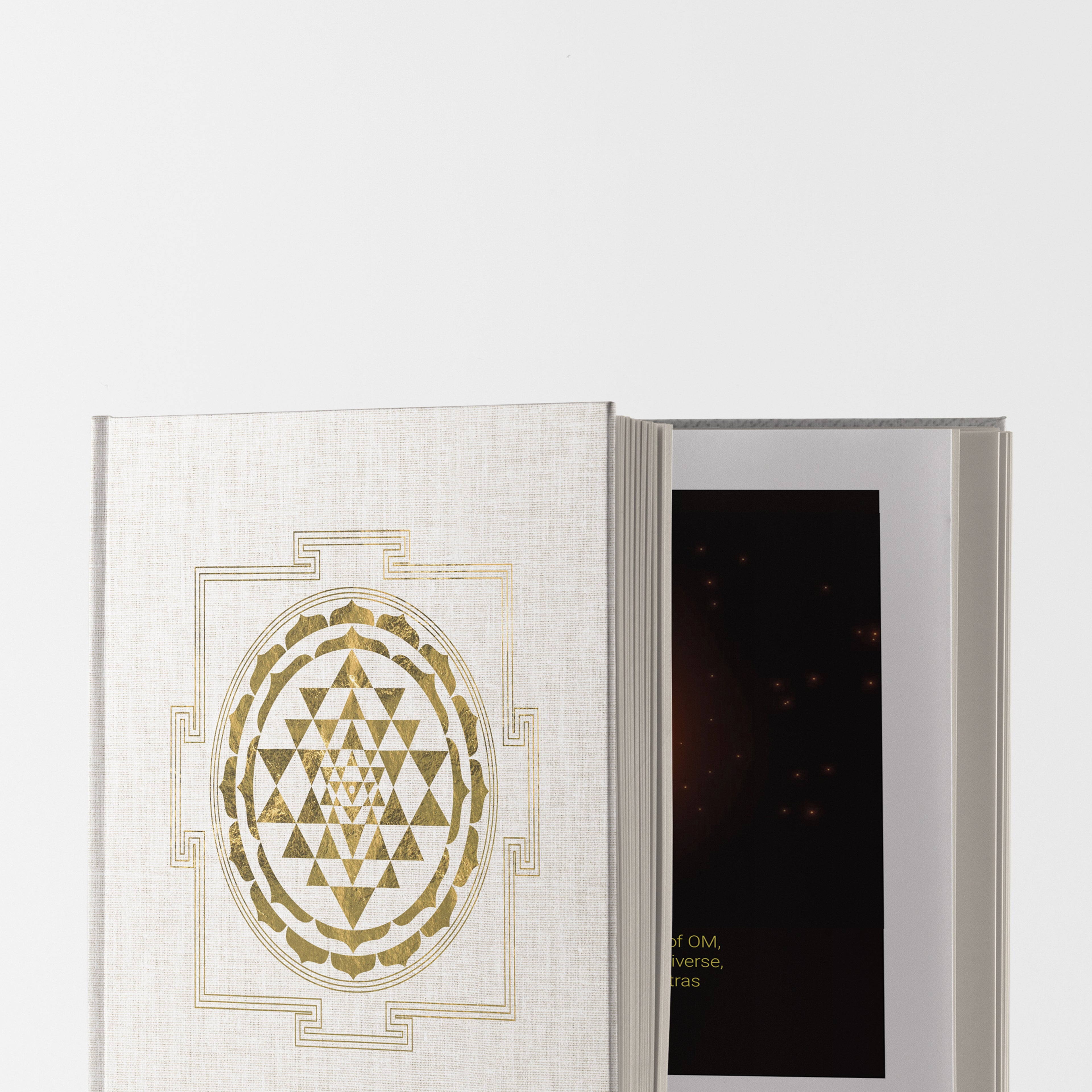 365 Days Manifestation Journal