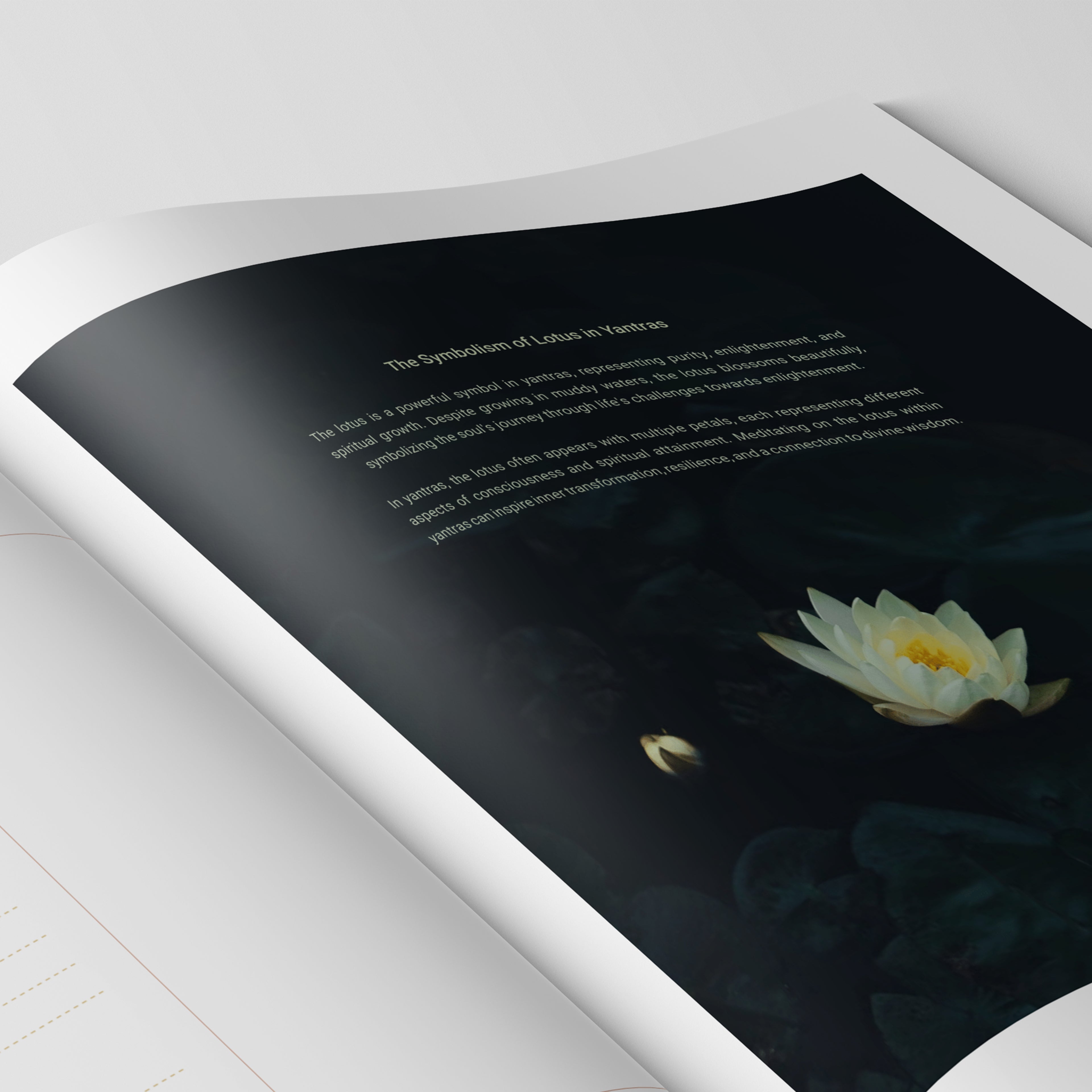 365 Days Manifestation Journal