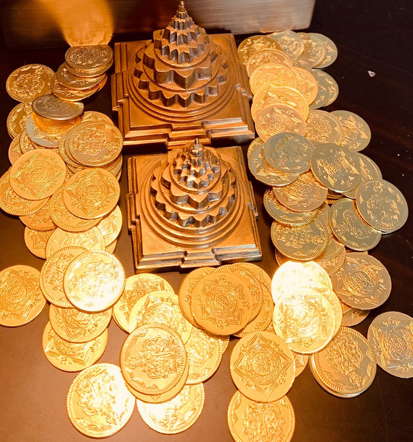 Abundance Manifestation Coins (108)