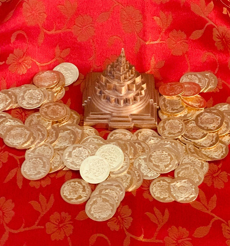 Abundance Manifestation Coins (108)