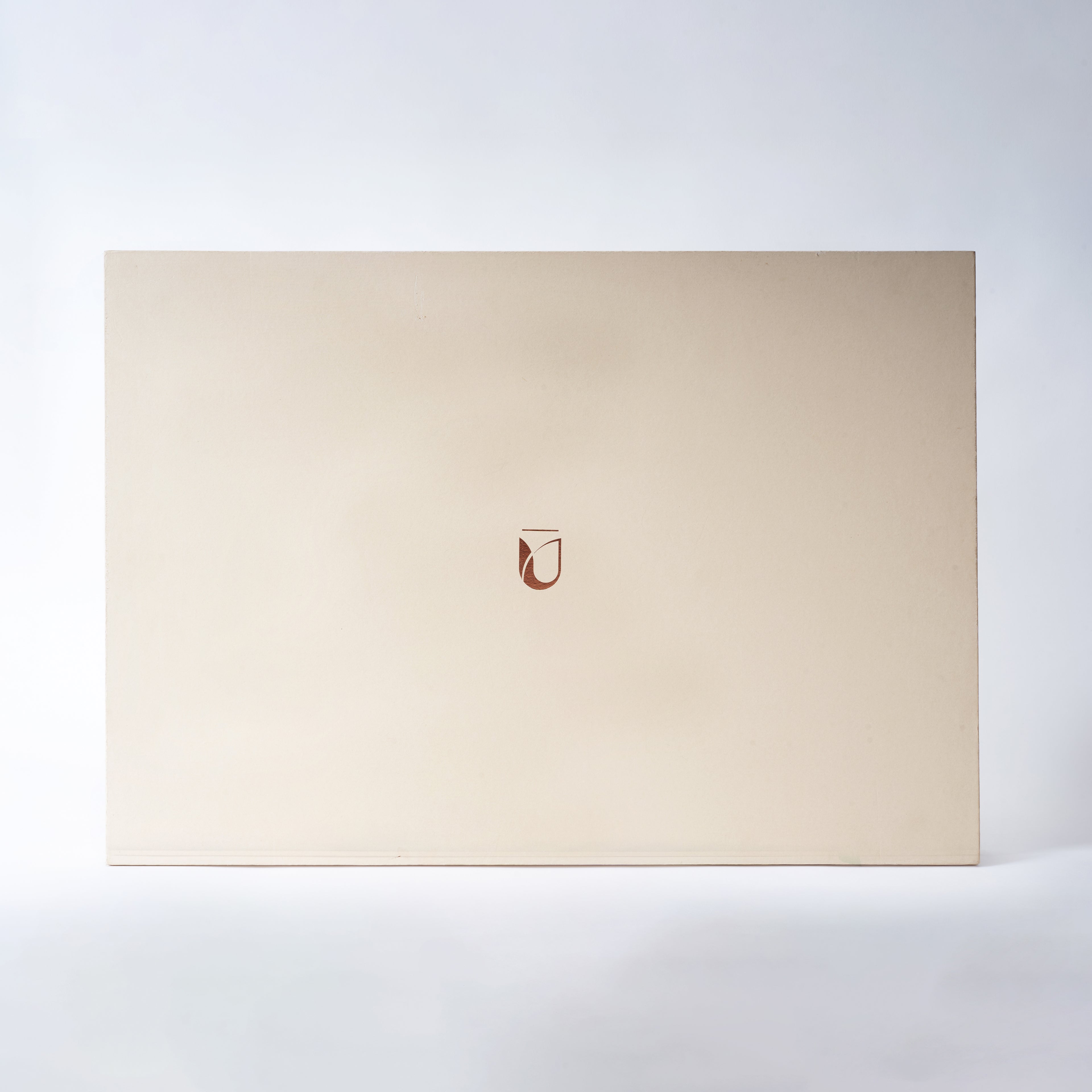 Dasa Mahavidyas Copper Frames - 10 Forms of Goddess Shakti