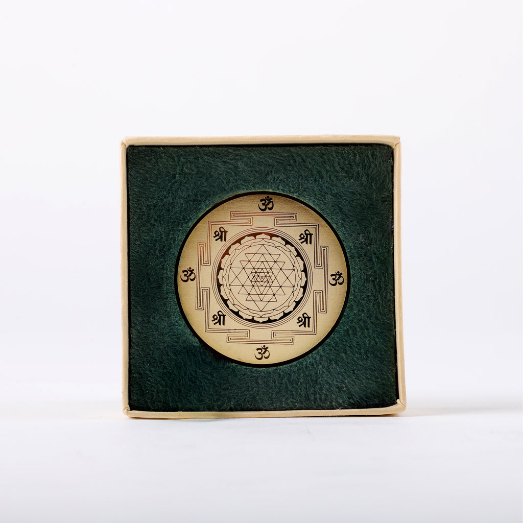 Abundance Manifestation Coin