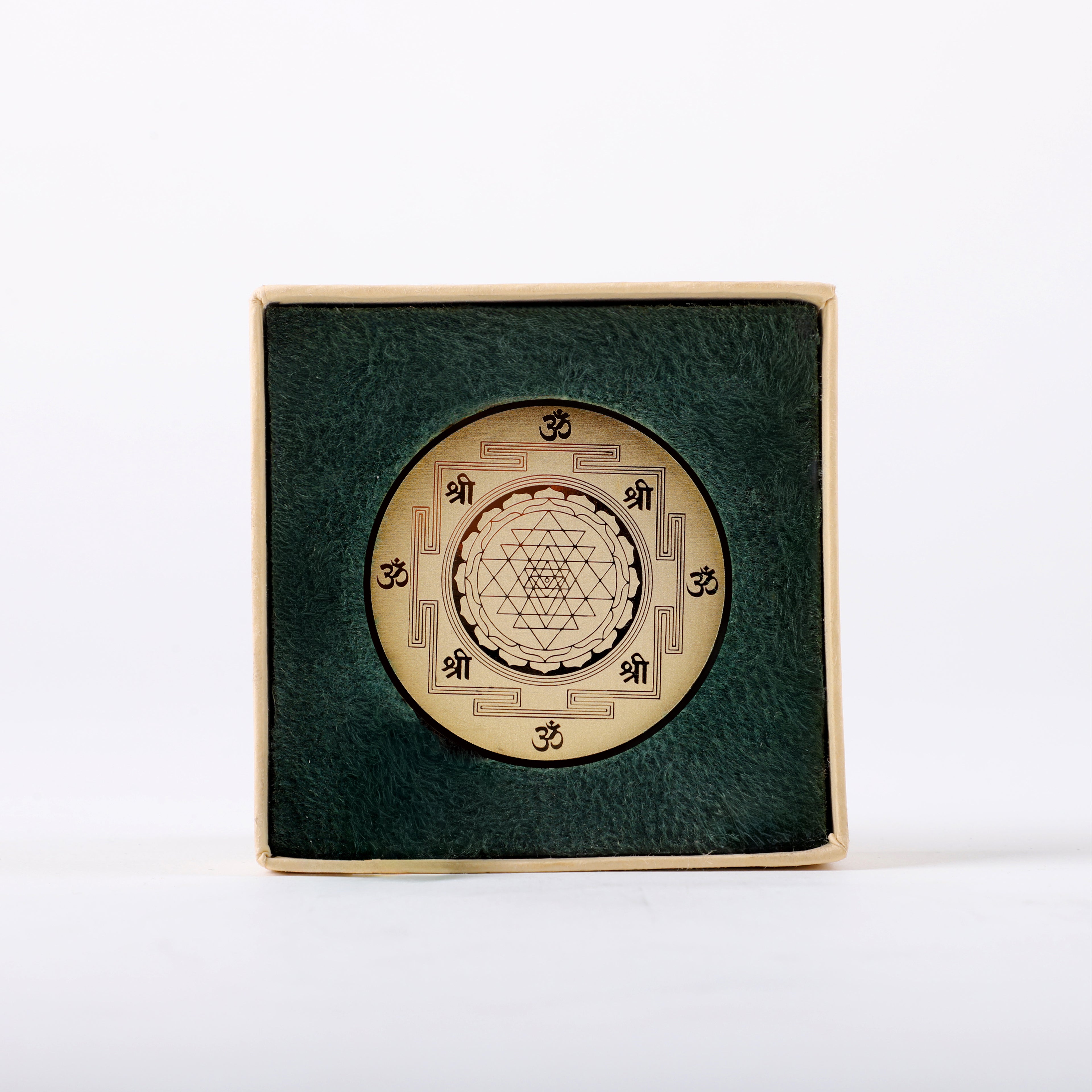 Abundance Manifestation Coin