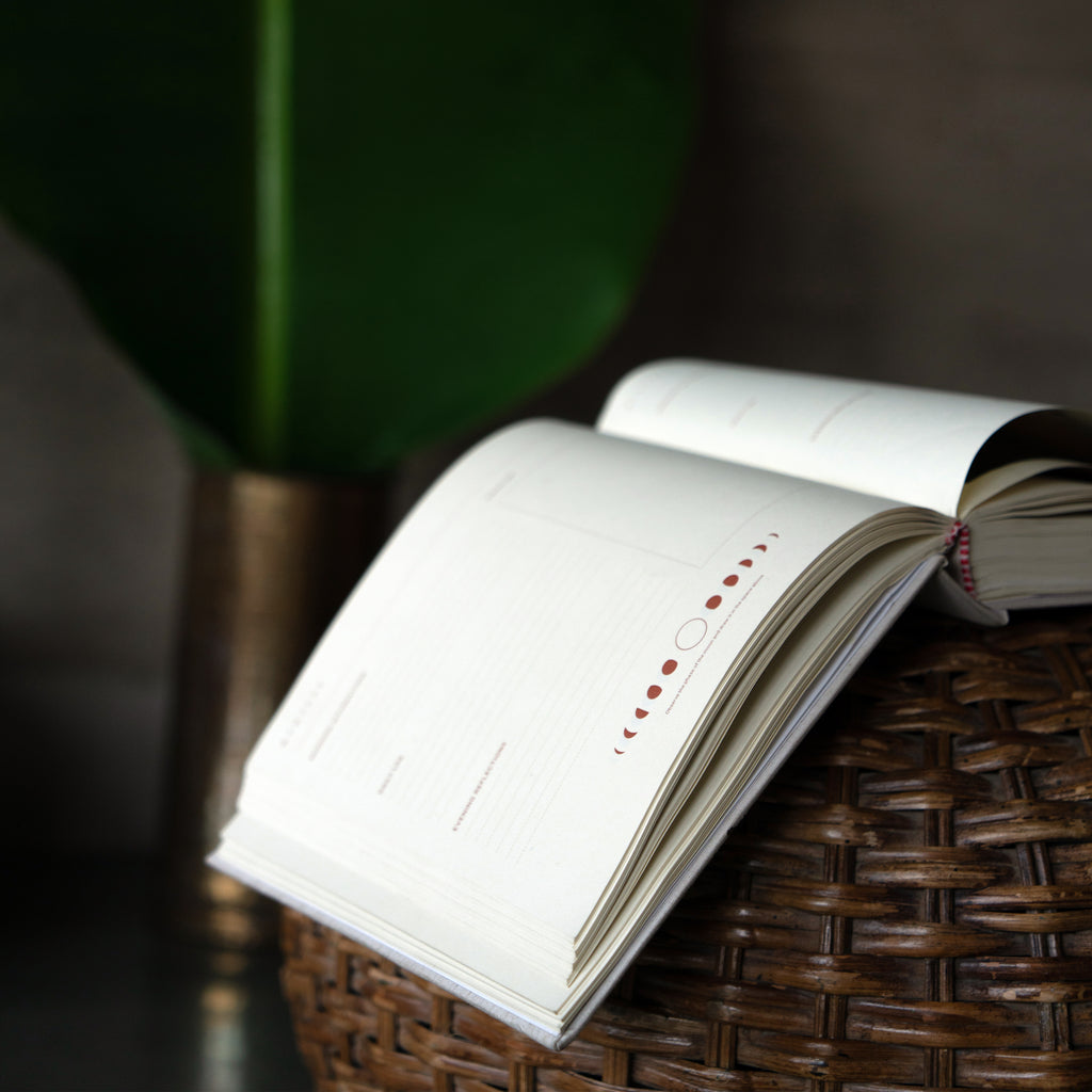 365 Days Manifestation Journal