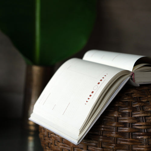 365 Days Manifestation Journal